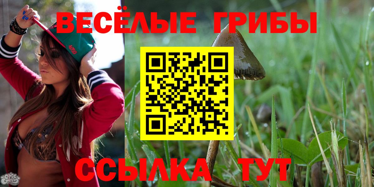 Галлюциногенные грибы Magic Shrooms  Галлюциногенные грибы MAGIC MUSHROOMS  Сургут  Вход с VPN 