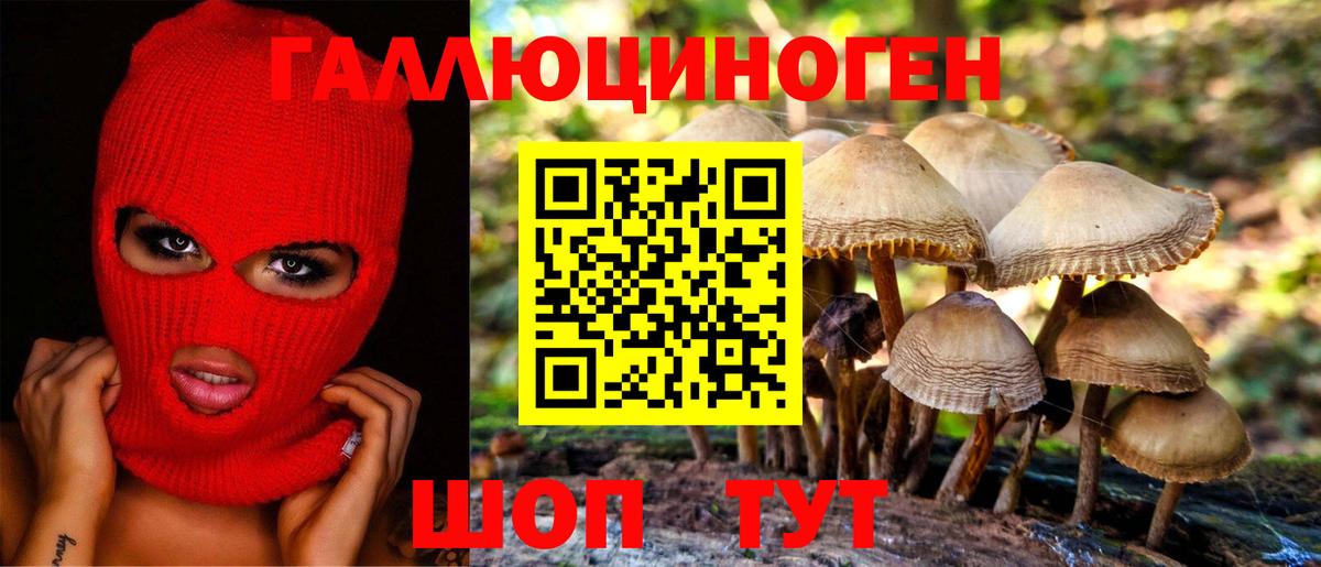 Псилоцибиновые грибы Cubensis Сургут
